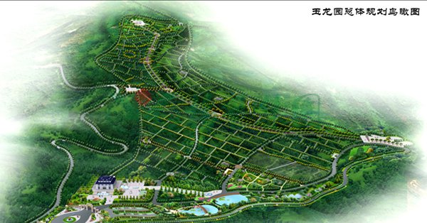 南宫·NG(中国)电子游戏官网