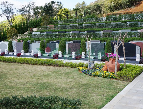 南宫·NG(中国)电子游戏官网