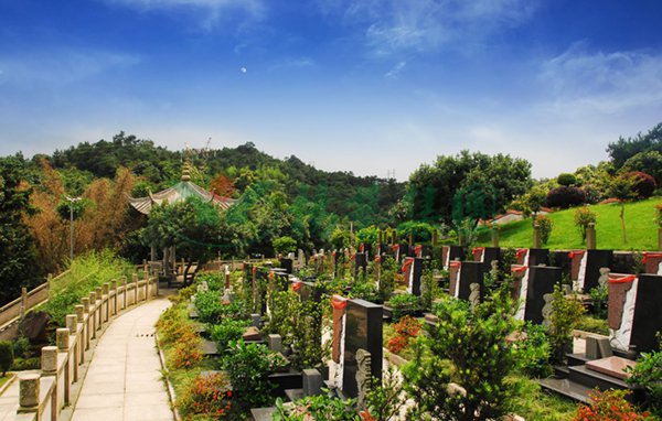 南宫·NG(中国)电子游戏官网