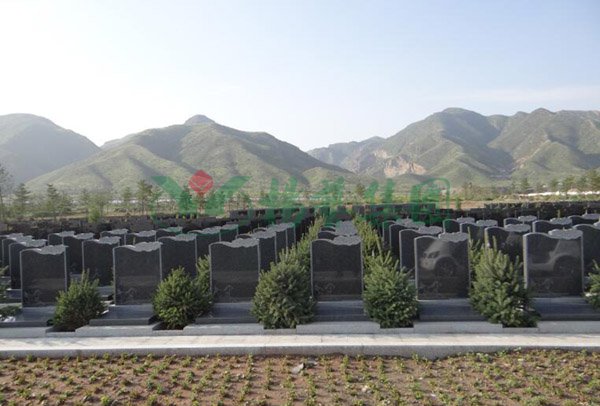1-2202091A445M4 南宫·NG(中国)电子游戏官网