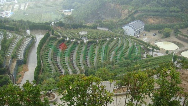 南宫·NG(中国)电子游戏官网