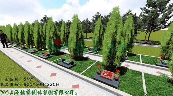 1-22020Z95Z4464 南宫·NG(中国)电子游戏官网