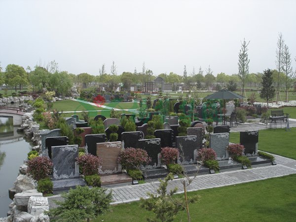 1-220210141F4260 南宫·NG(中国)电子游戏官网