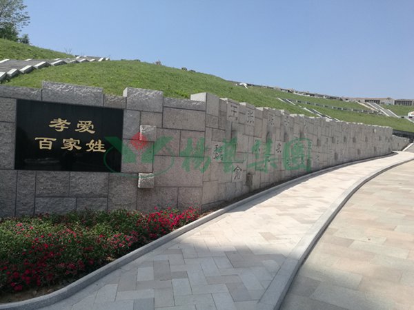 南宫·NG(中国)电子游戏官网