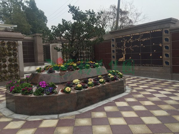 南宫·NG(中国)电子游戏官网