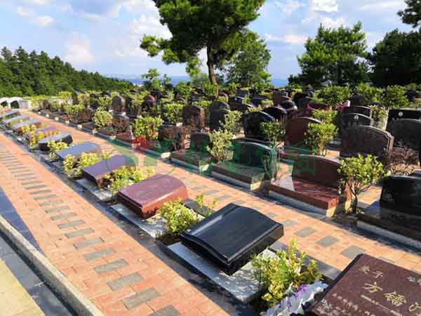 南宫·NG(中国)电子游戏官网