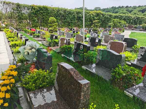 南宫·NG(中国)电子游戏官网