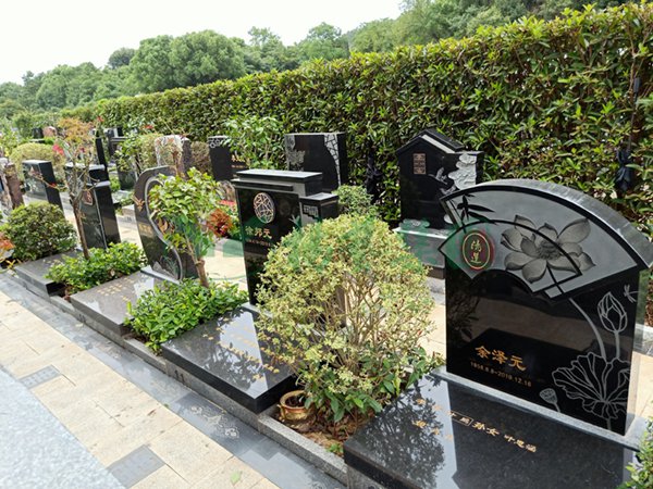 南宫·NG(中国)电子游戏官网