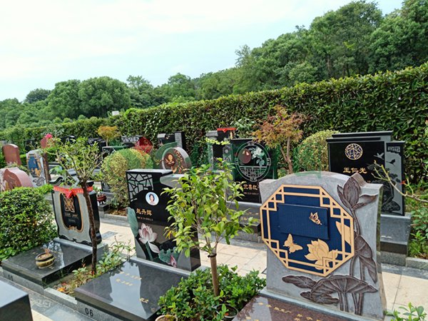 南宫·NG(中国)电子游戏官网