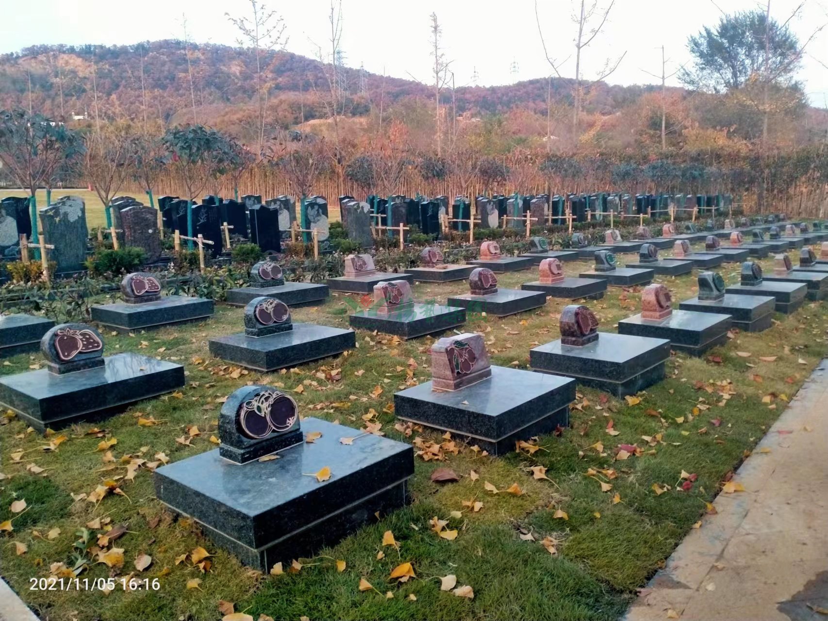 1-22052G405053P 南宫·NG(中国)电子游戏官网