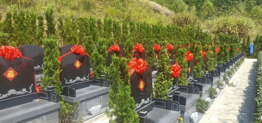 1-221006164559317 南宫·NG(中国)电子游戏官网
