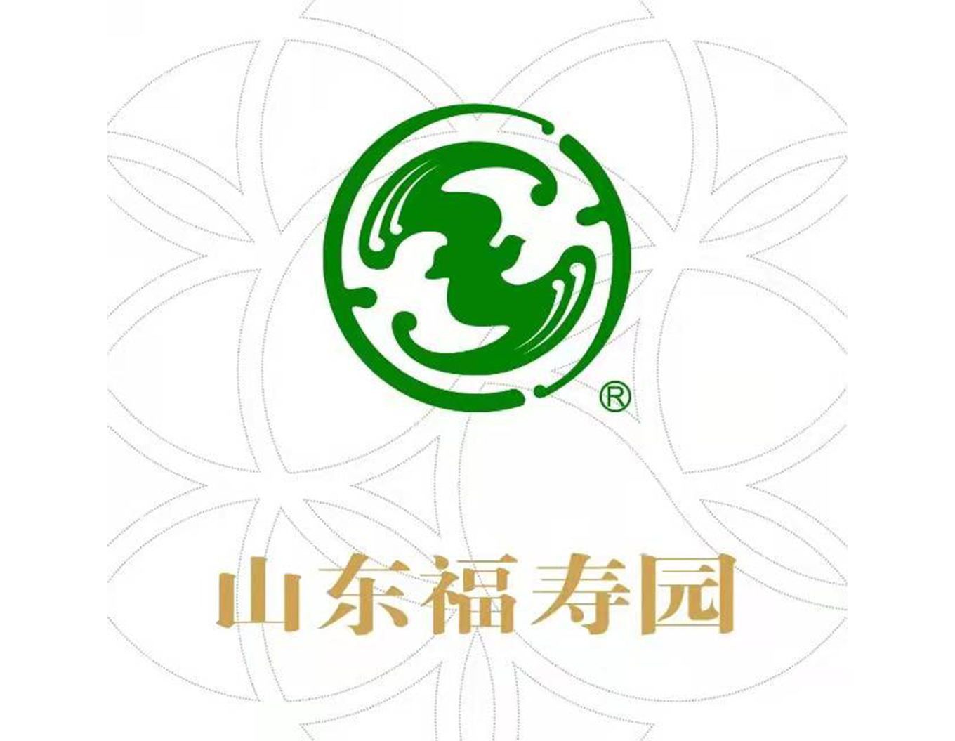 1-21121Q3231E50 南宫·NG(中国)电子游戏官网