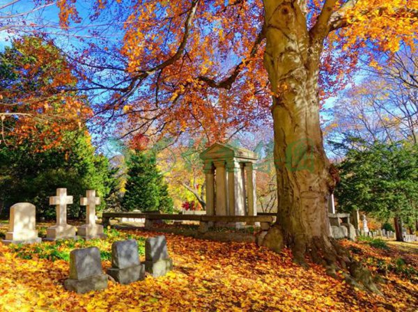 1-211222150H0355 南宫·NG(中国)电子游戏官网
