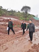 杨总应邀赴福寿园重庆璧猴子墓现场勘测