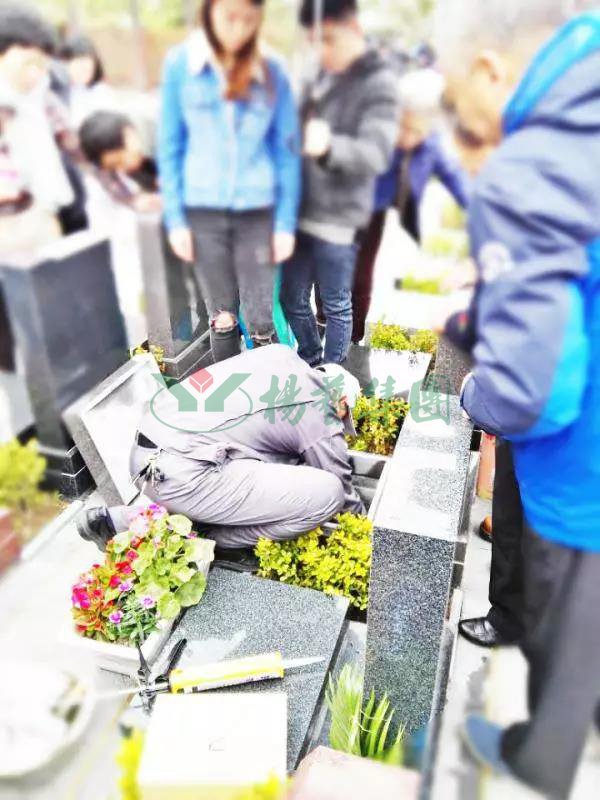 南宫·NG(中国)电子游戏官网