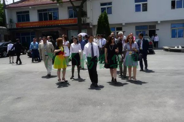 南宫·NG(中国)电子游戏官网