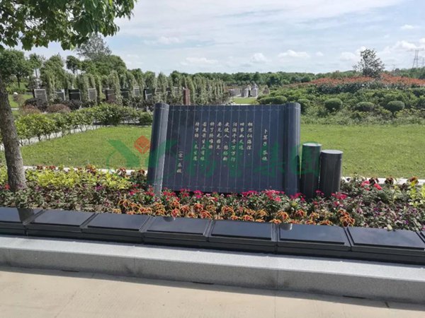南宫·NG(中国)电子游戏官网