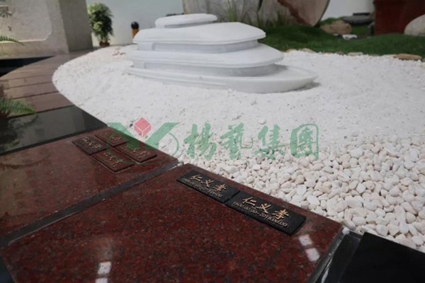 南宫·NG(中国)电子游戏官网