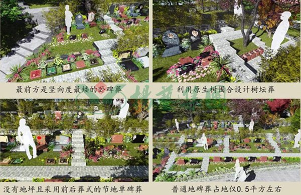 南宫·NG(中国)电子游戏官网