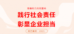 南宫电子游戏集团向咸宁市南浔区慈悲总会捐款30万元