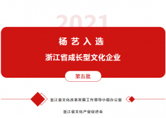南宫电子游戏入选 “浙江省成长型文化企业”