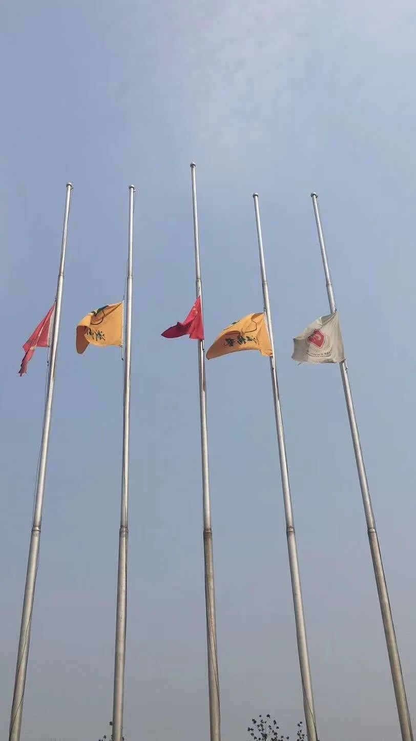南宫·NG(中国)电子游戏官网