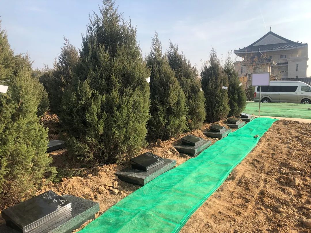 1-22022P94132b6 南宫·NG(中国)电子游戏官网