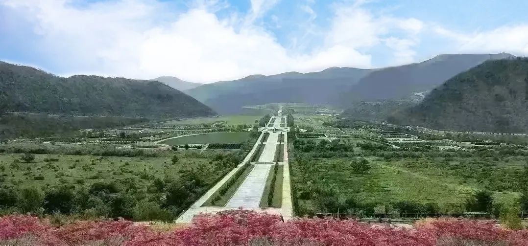 南宫·NG(中国)电子游戏官网