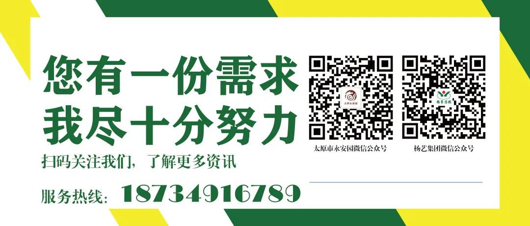 南宫·NG(中国)电子游戏官网