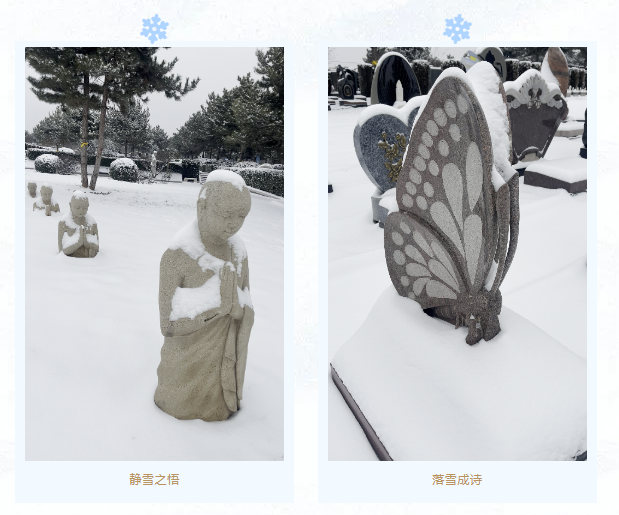 1-2312230T93E25 南宫·NG(中国)电子游戏官网