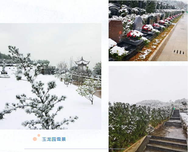 1-2312230T951434 南宫·NG(中国)电子游戏官网