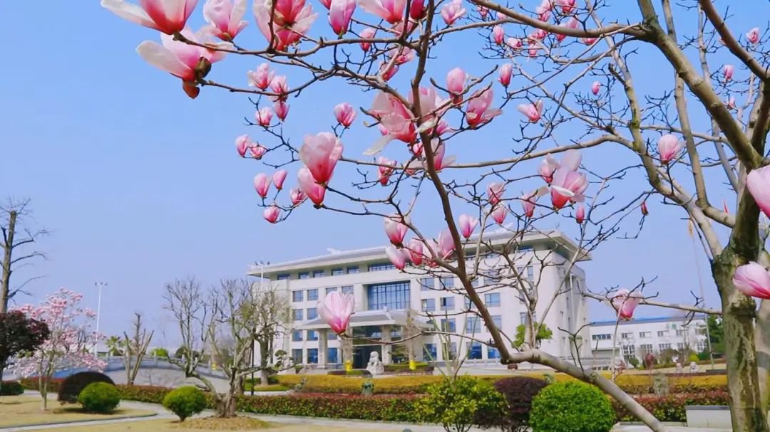 南宫·NG(中国)电子游戏官网