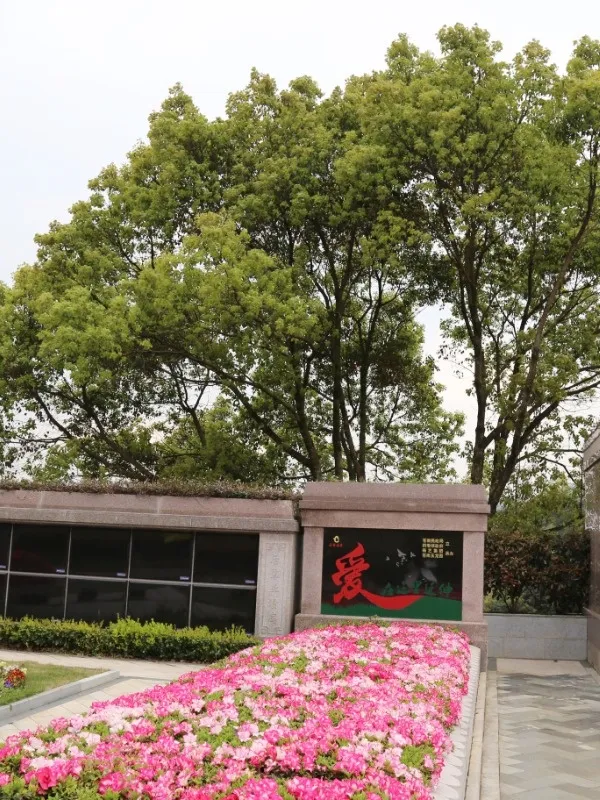 南宫·NG(中国)电子游戏官网