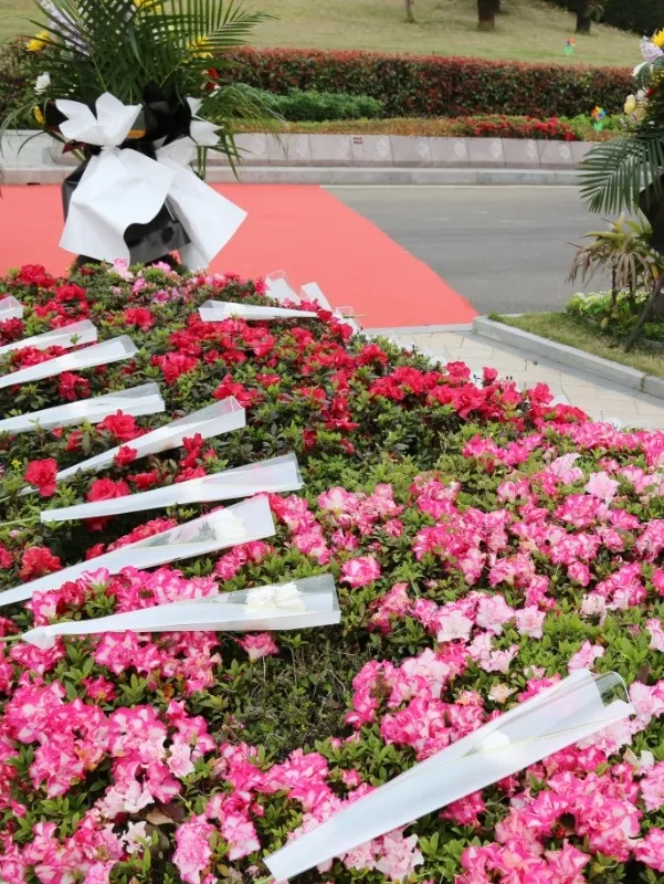 南宫·NG(中国)电子游戏官网