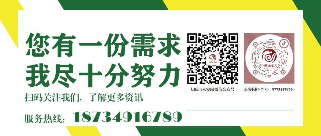 南宫·NG(中国)电子游戏官网