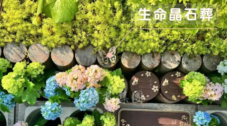 1-240H914334D49 南宫·NG(中国)电子游戏官网