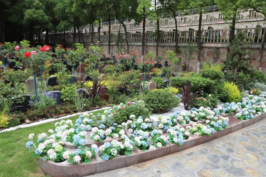 南宫·NG(中国)电子游戏官网