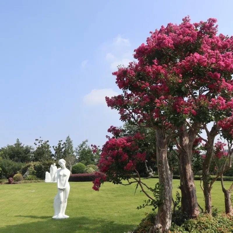 1-250206111944Y8 南宫·NG(中国)电子游戏官网