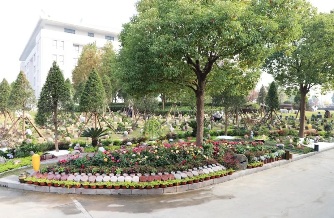 1-25032G4230c03 南宫·NG(中国)电子游戏官网