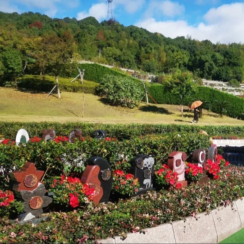 1-25032Q31530U9 南宫·NG(中国)电子游戏官网