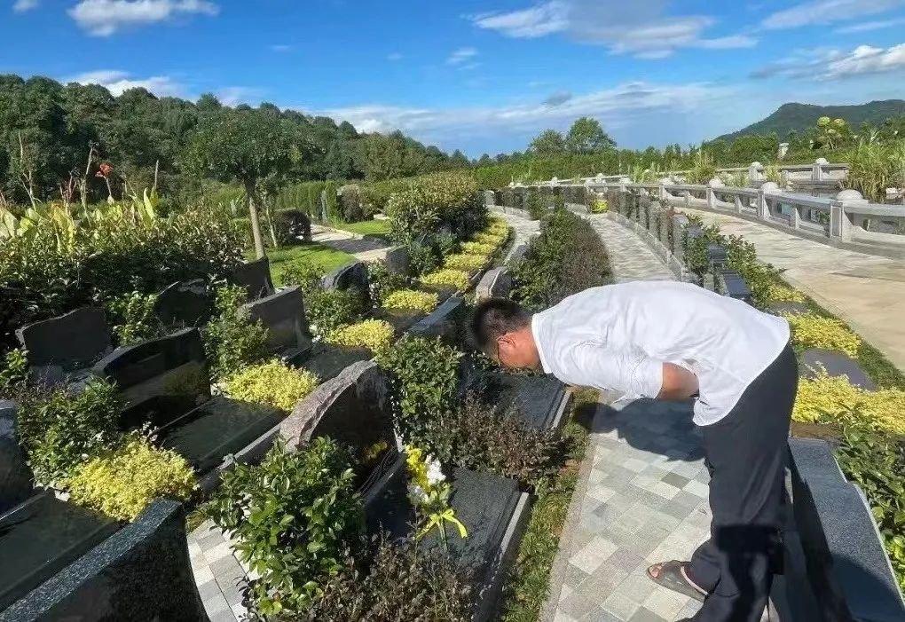 1-25032Q33511S0 南宫·NG(中国)电子游戏官网