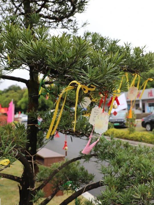 南宫·NG(中国)电子游戏官网