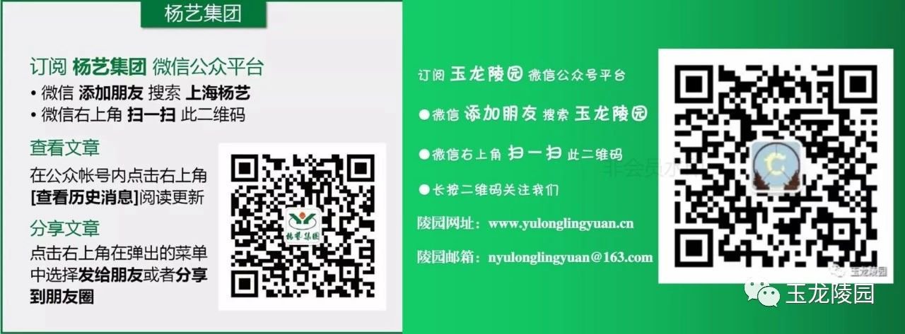 南宫·NG(中国)电子游戏官网