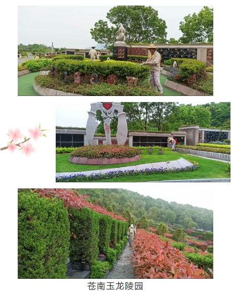 1-250505093941911 南宫·NG(中国)电子游戏官网