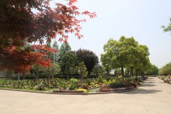 归于林下：一场与天然的温顺重逢