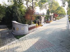 城市最后一平米：生态葬，是与天然的和解？还是无奈的选择？