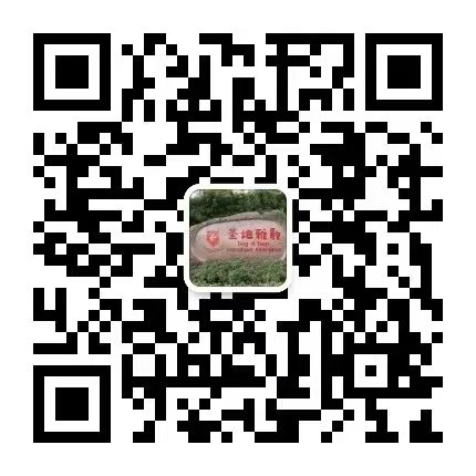 南宫·NG(中国)电子游戏官网