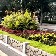 无机仿真石花箱：以永恒之名，塑将来之境